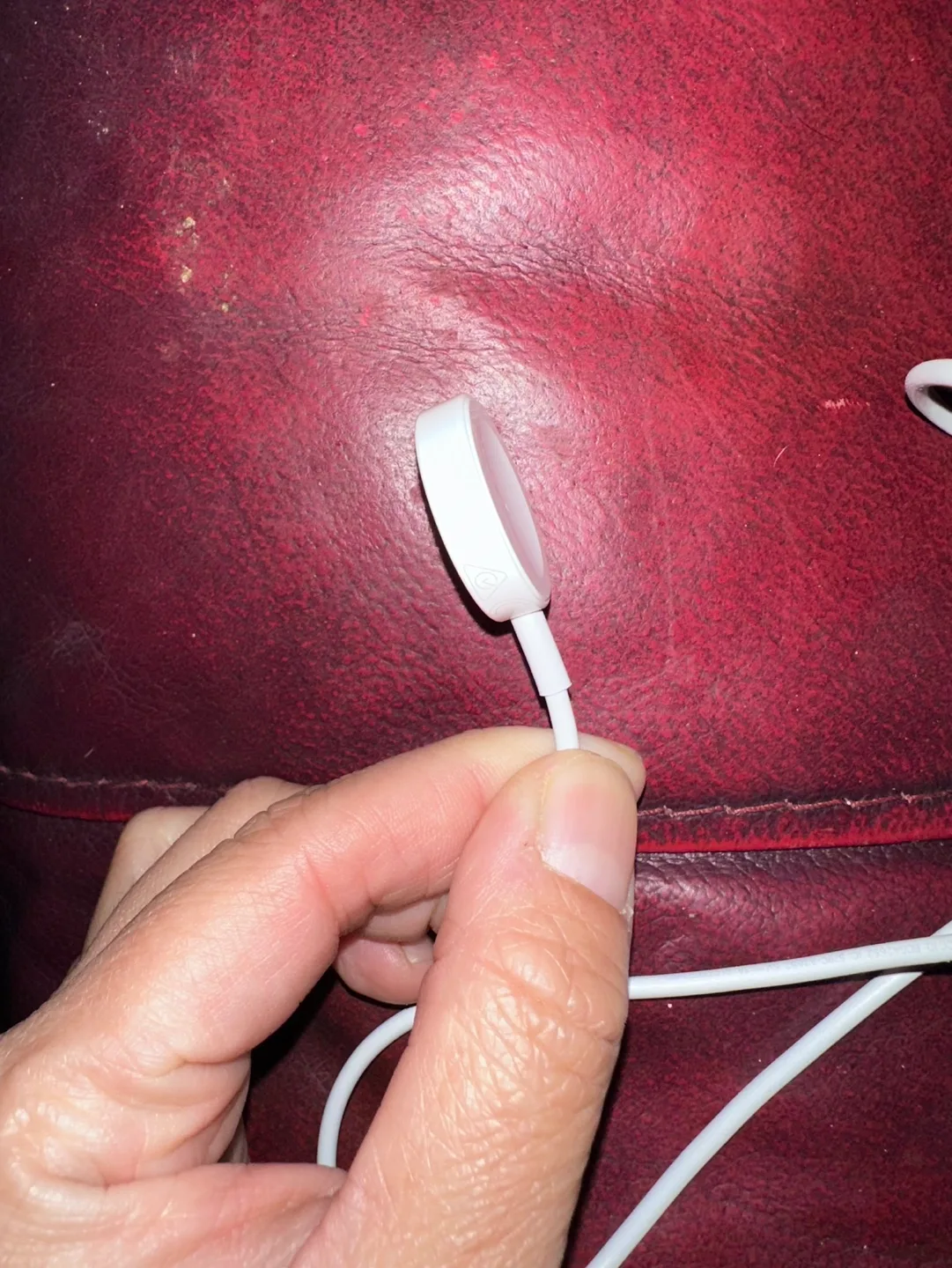 Apple Watch Magnetic Charging Cable image indicator(4)