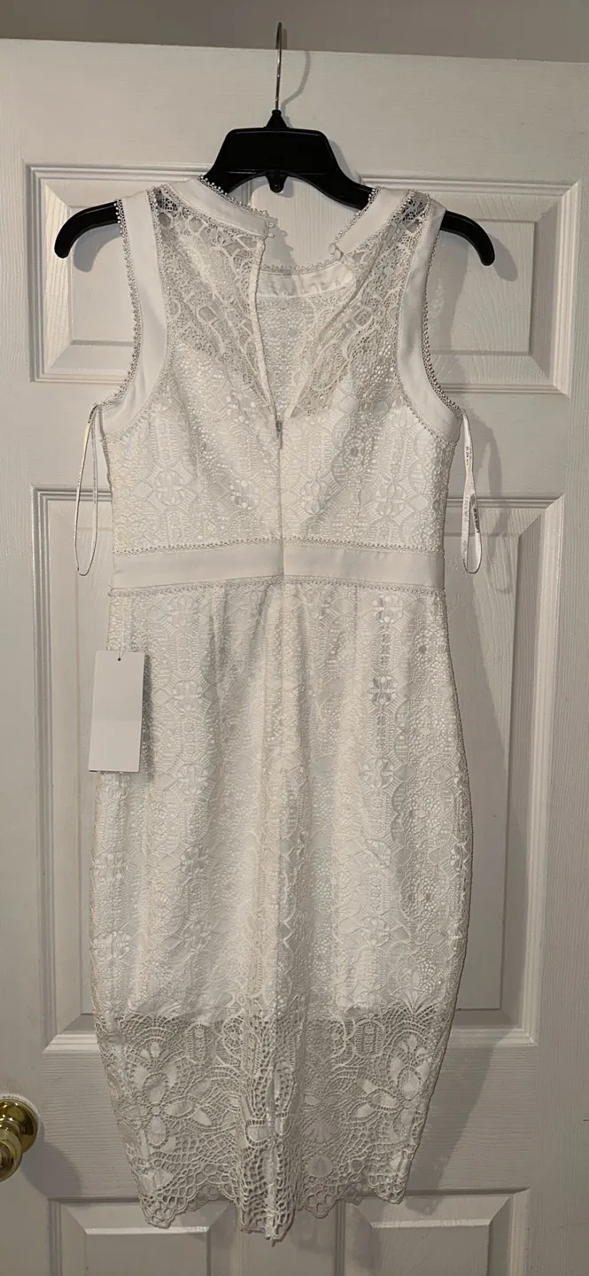 Ever New Kate Lace Pencil Dress - Size 4 image indicator(2)