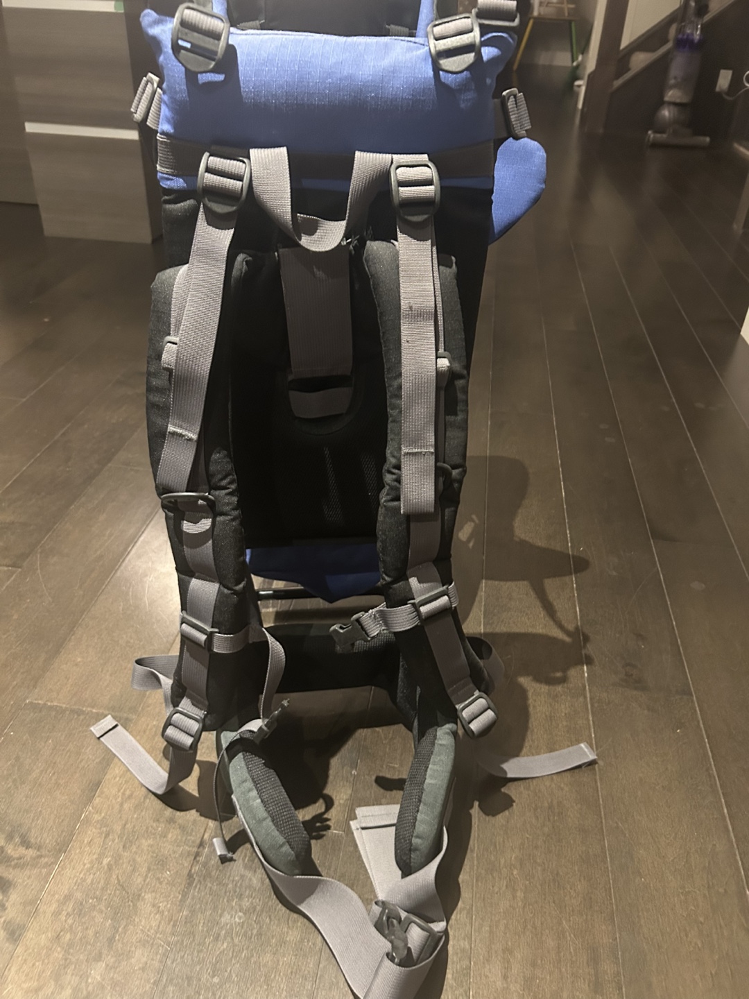 Bugaboo Child Carrier Backpack - photo 4