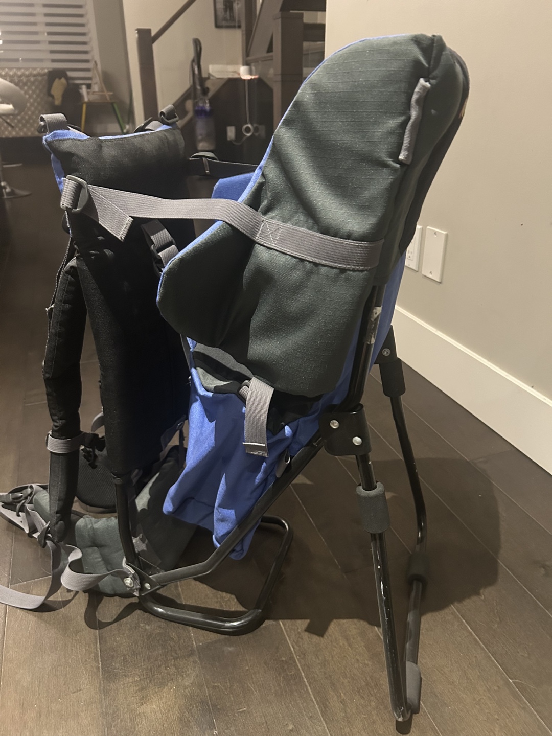Bugaboo Child Carrier Backpack