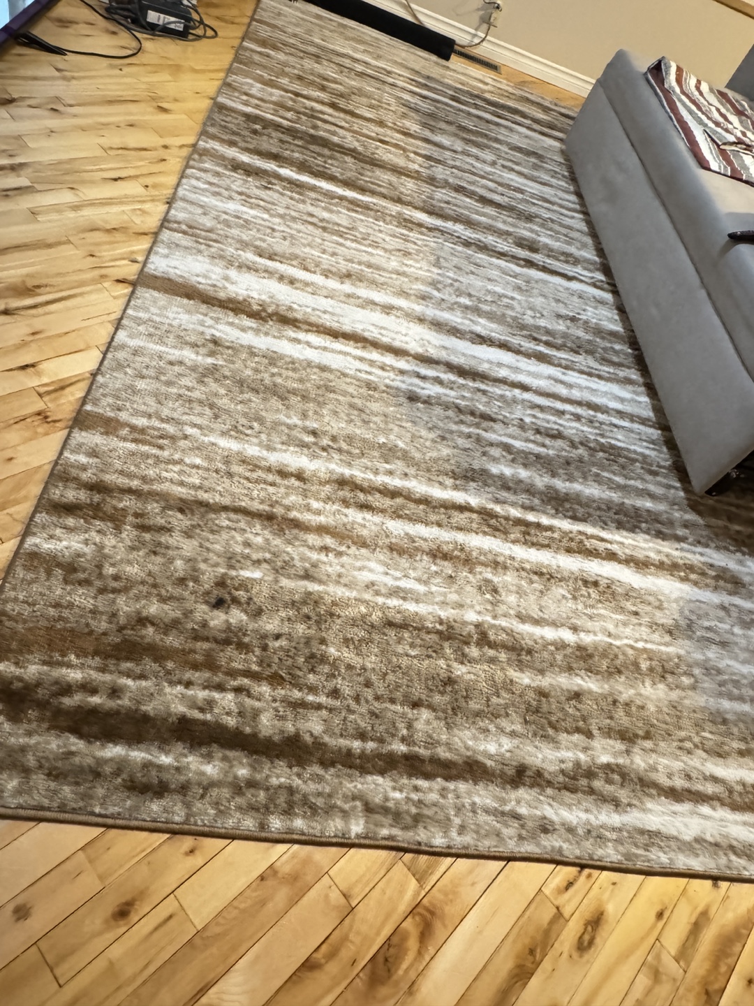 Large Area Rug, Brown and Beige