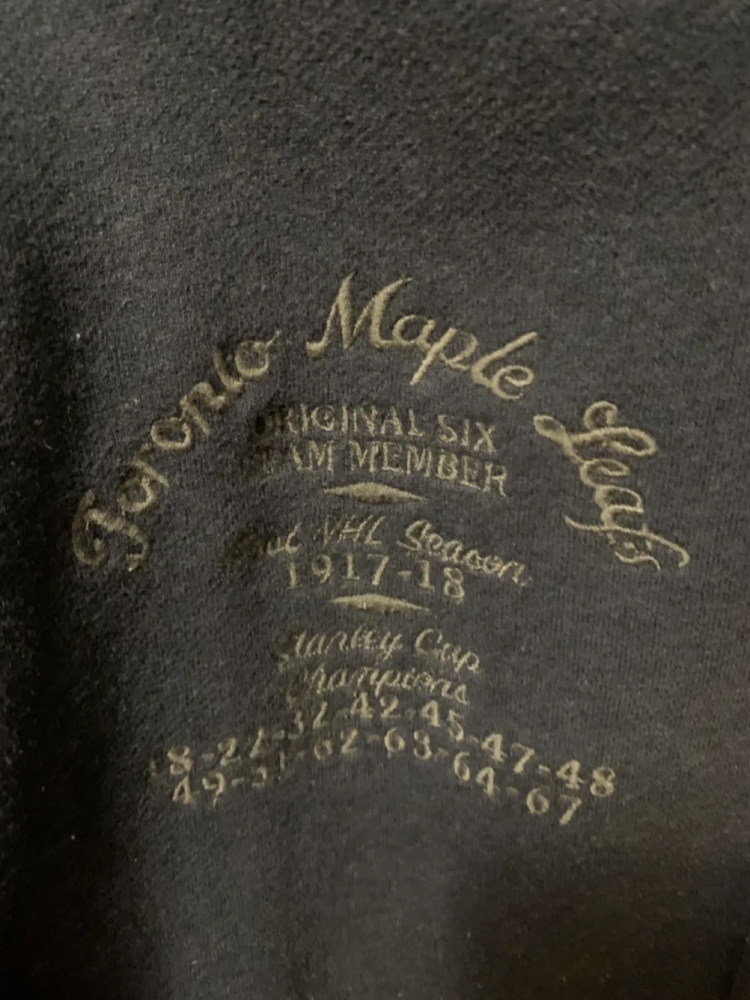 Pick up today price!! Vintage Roots Leafs Jacket ize XL image indicator(3)