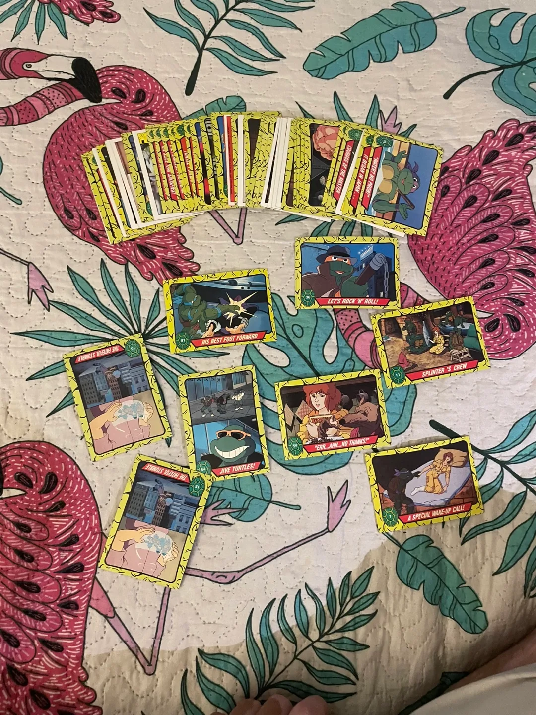 Star Wars & Teenage Mutant Ninja Turtles Trading Cards image indicator(2)