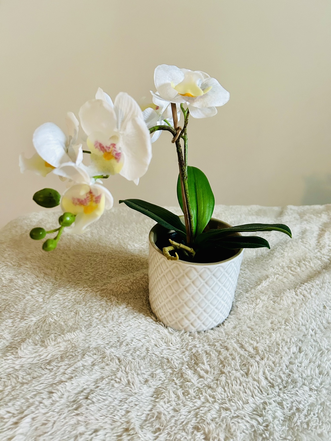 Artificial Plants and The Last Supper Wall Hanging