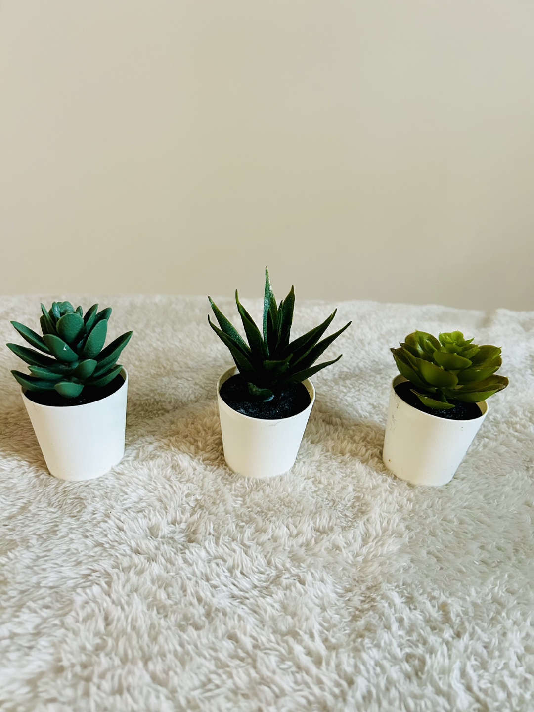Artificial Plants and The Last Supper Wall Hanging - photo 4