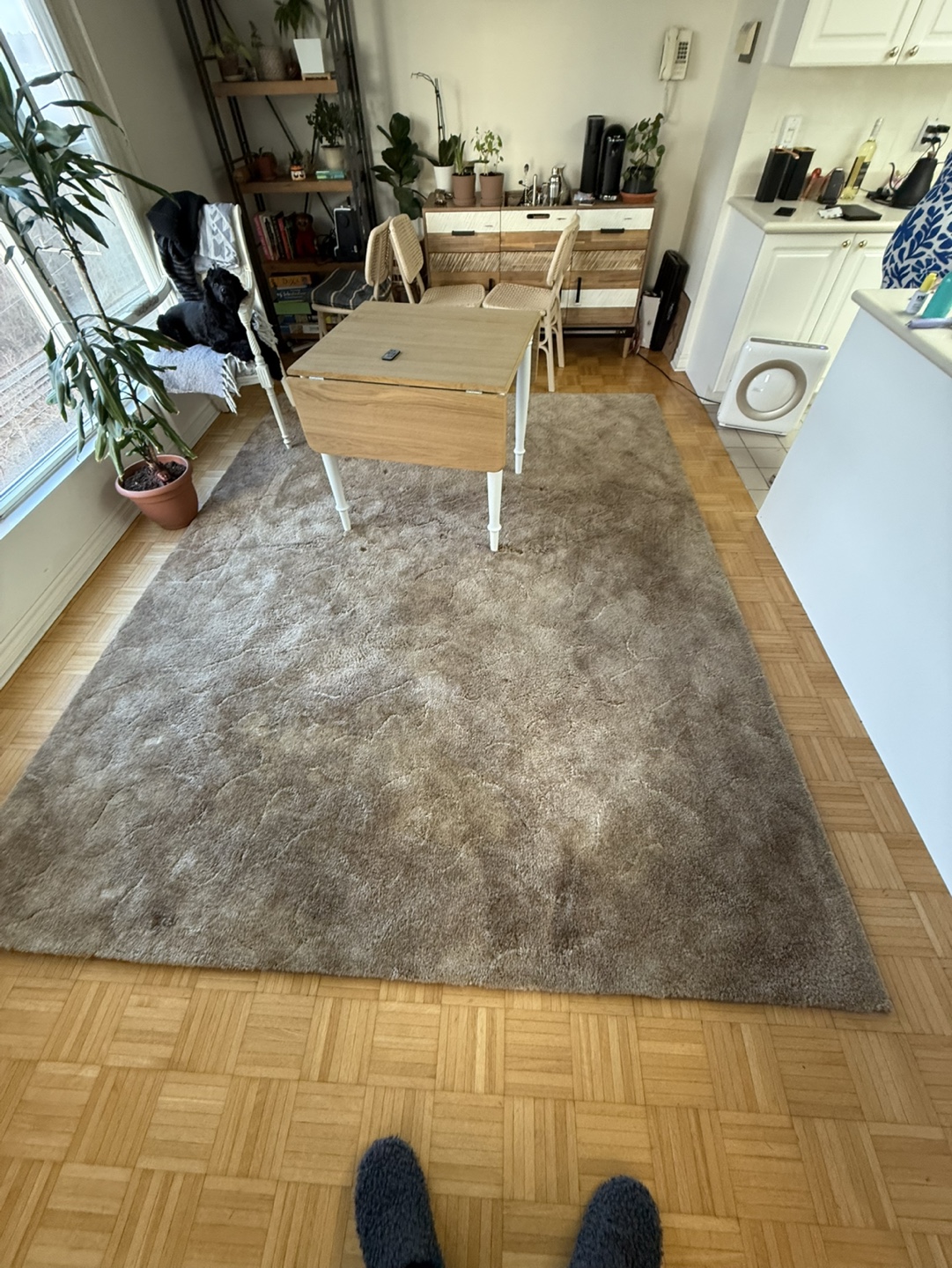 Free large rug - Beige/Brown - photo 4