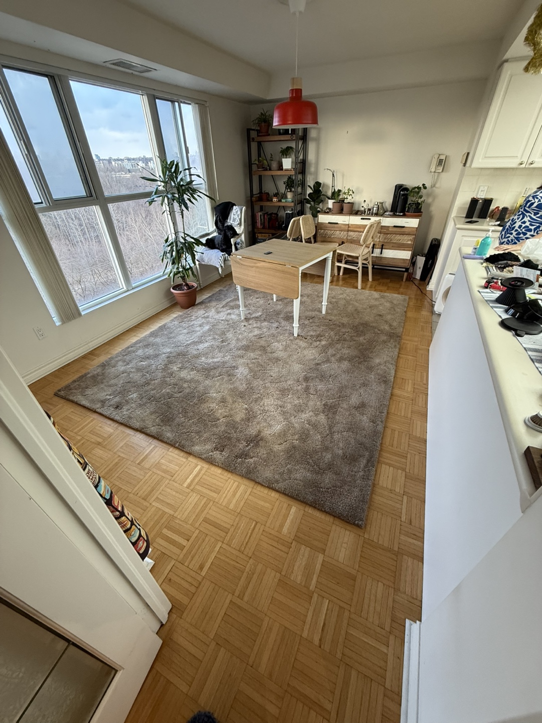 Free large rug - Beige/Brown - photo 2