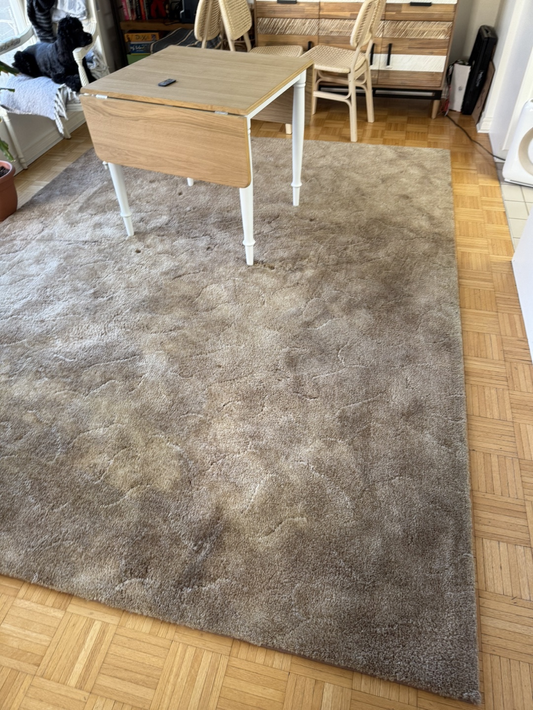 Free large rug - Beige/Brown