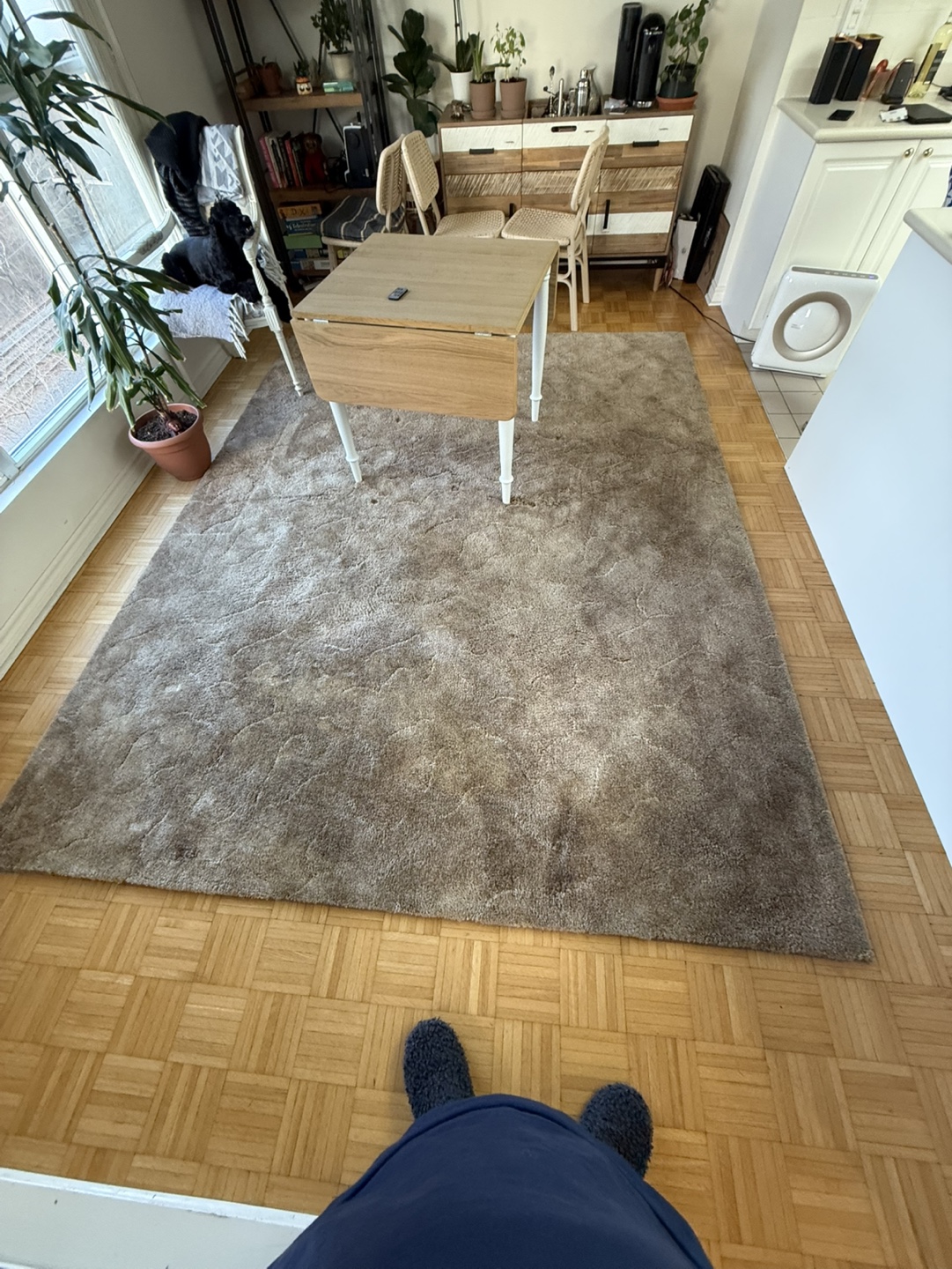 Free large rug - Beige/Brown - photo 3