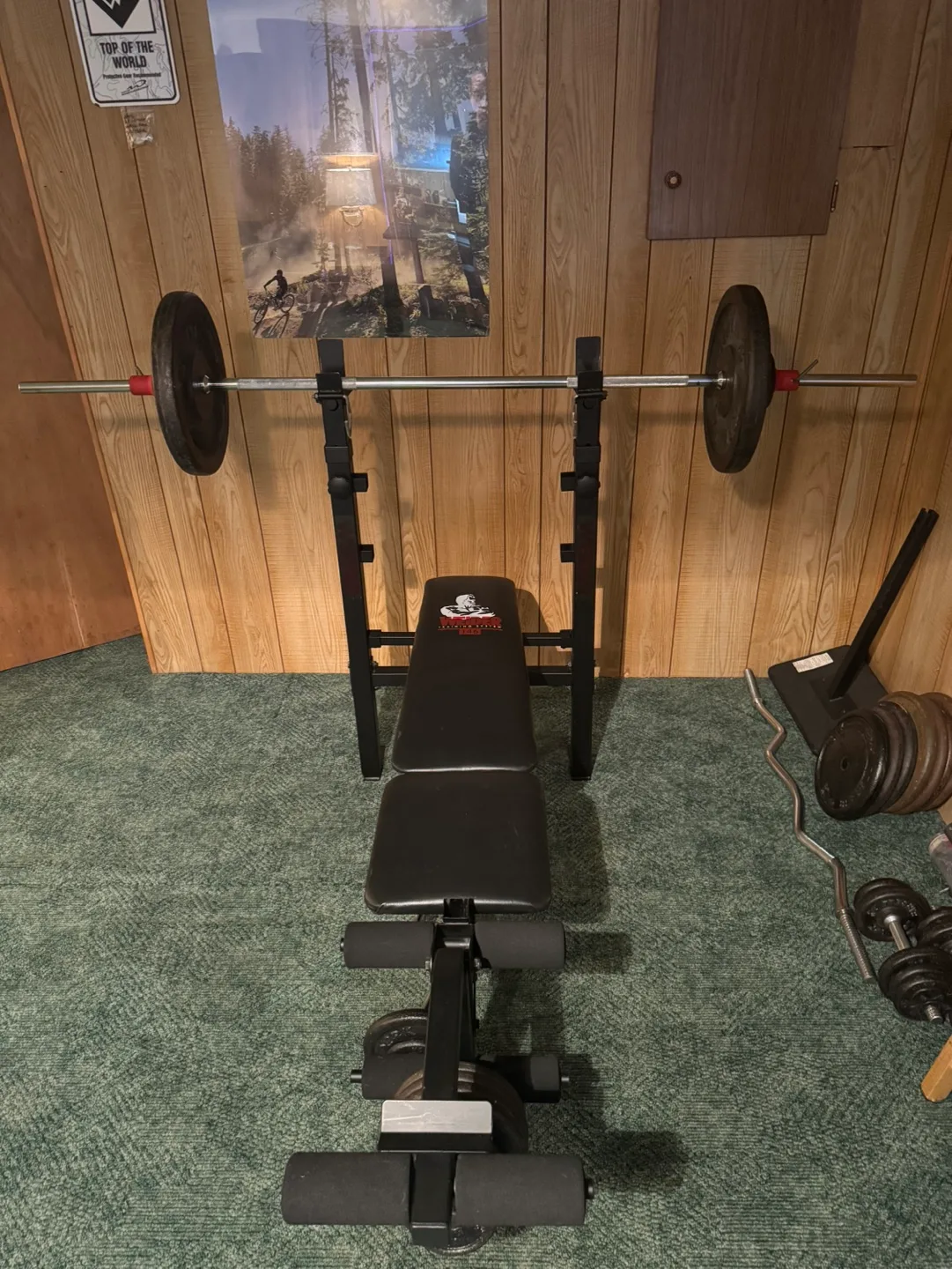 Weight Bench Set with Barbell, Dumbbells and Plates image indicator(4)