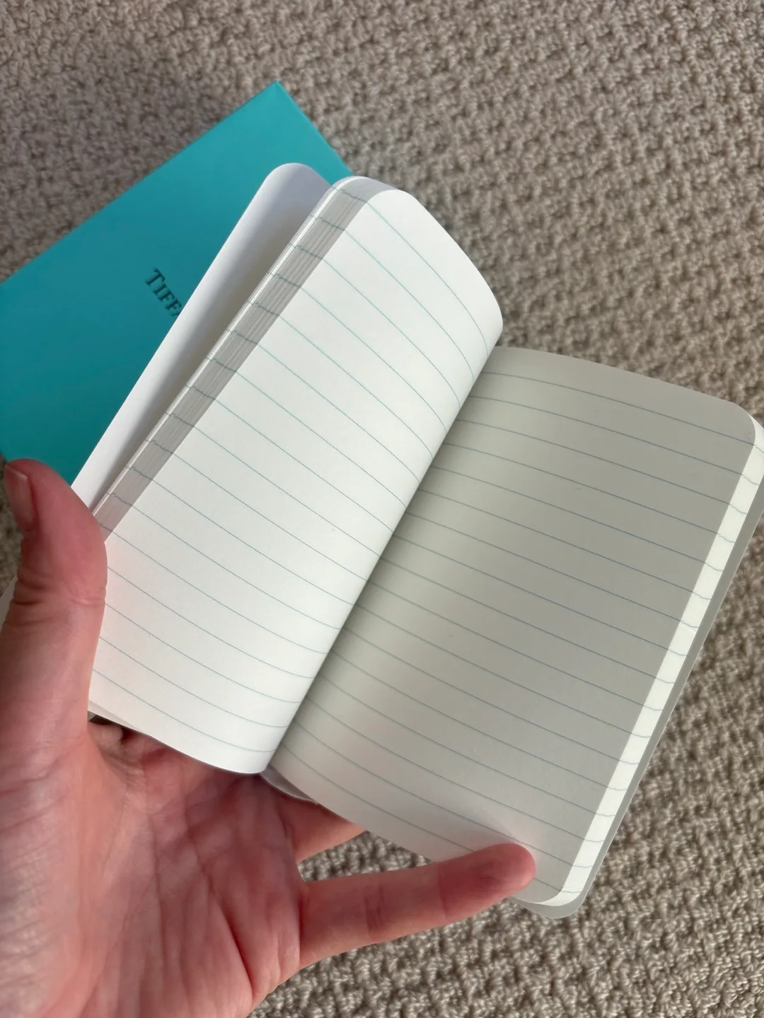 Tiffany & Co. Notebook & Box image indicator(2)