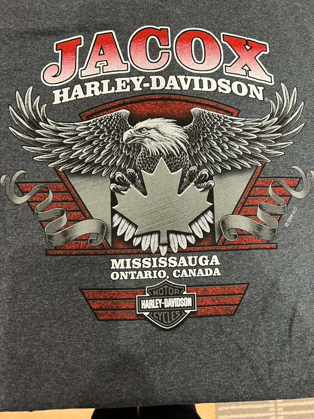 BNWT Harley Davidson T-Shirts, Med- Collectors image indicator(10)