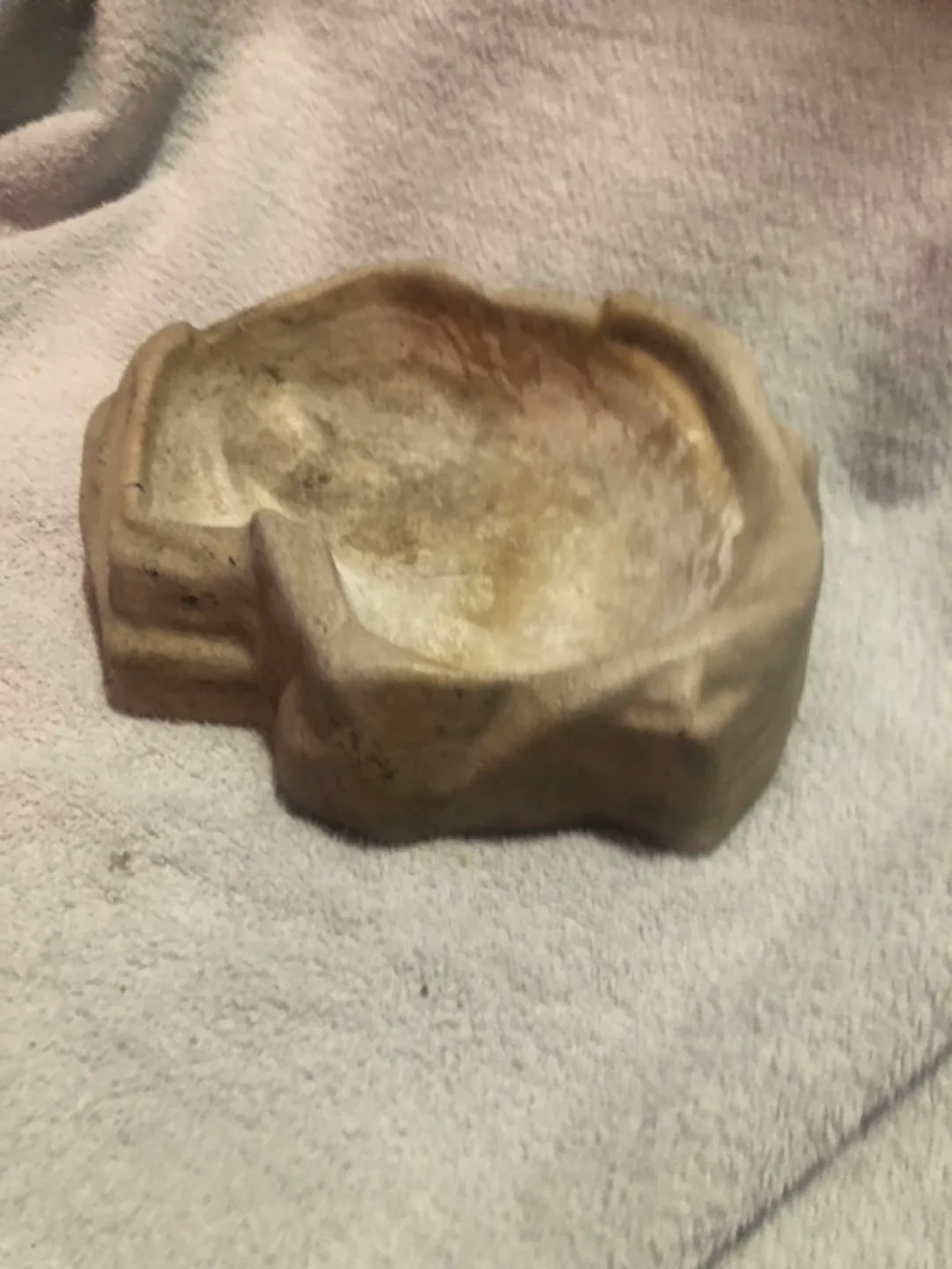 Resin Stone Reptile Amphibian Pet Water Dish or Food Bowl image indicator(3)