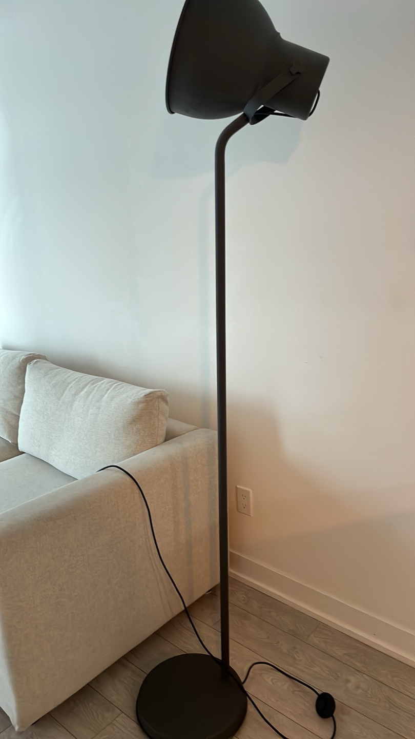 Modern Arc Floor Lamp