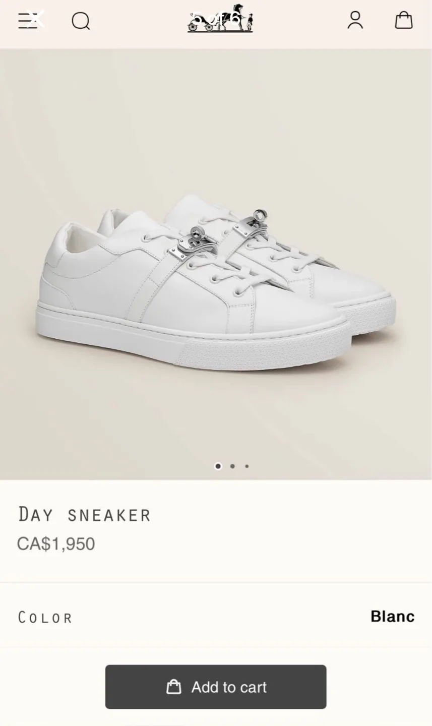 Hermes Paris Day Sneaker - White Leather image indicator(5)