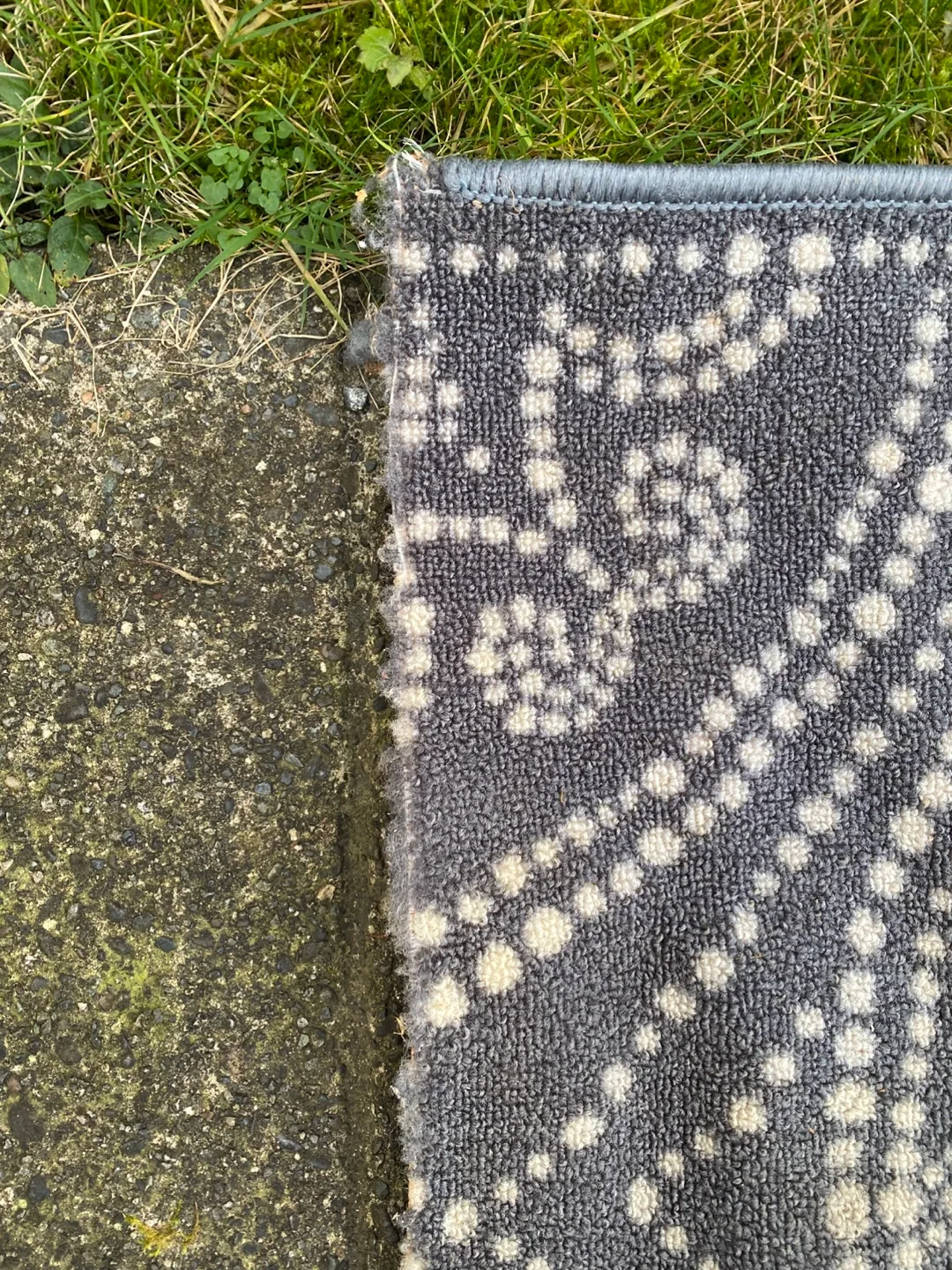 Runner Carpet for Hallway - 19 feet 🥕 image indicator(2)