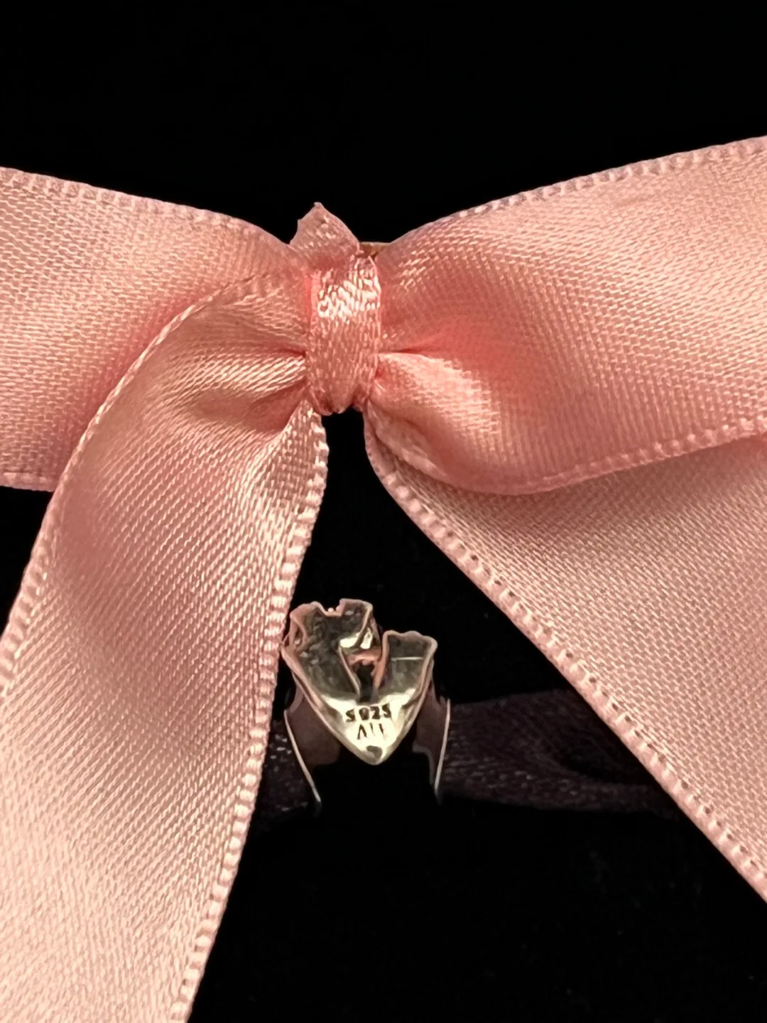 Pandora Penguin Charm image indicator(3)