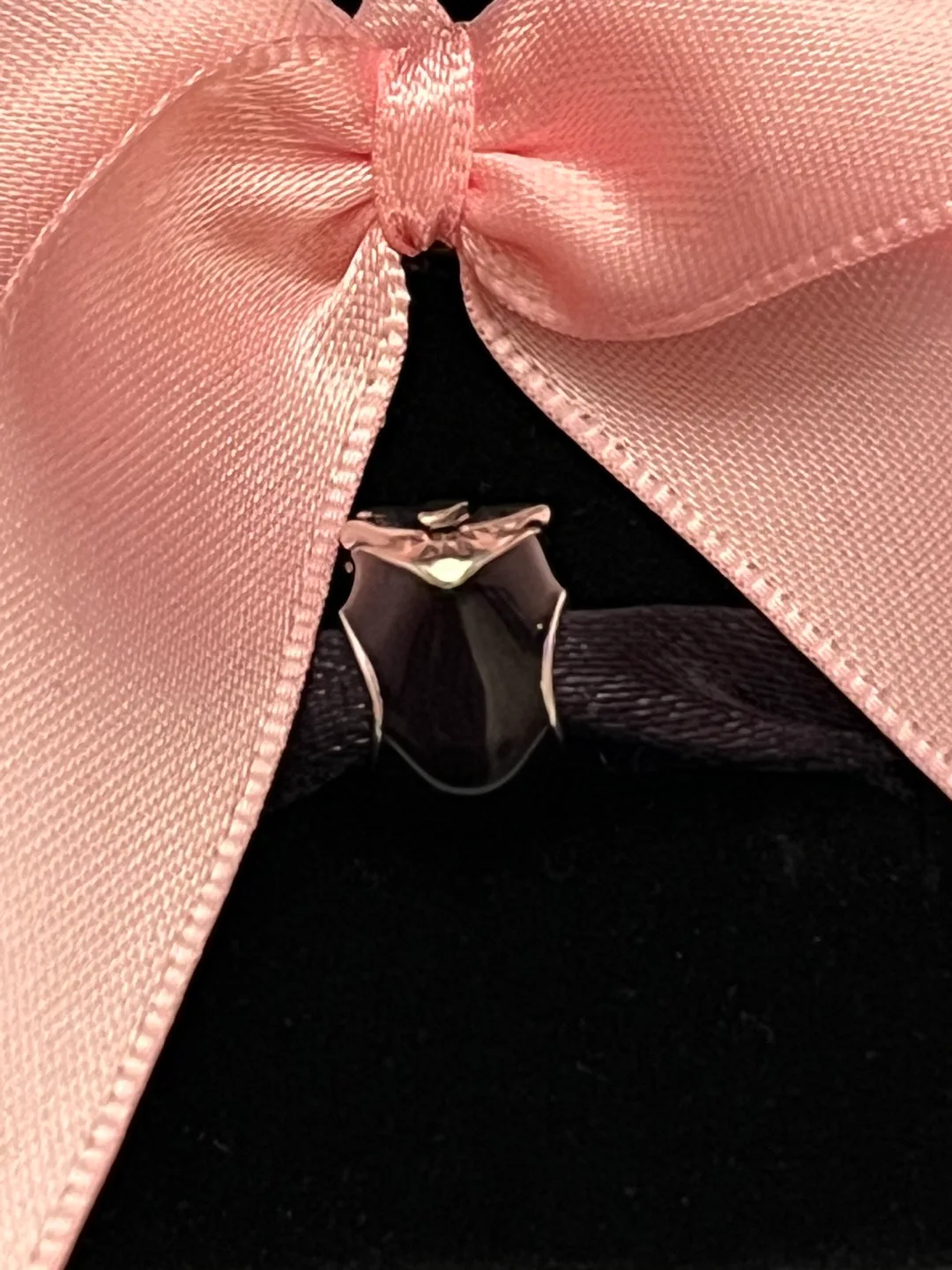 Pandora Penguin Charm image indicator(4)