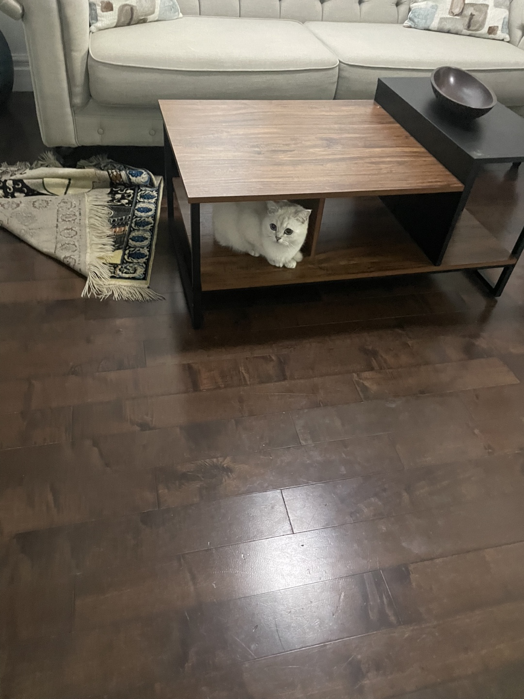 Coffee table