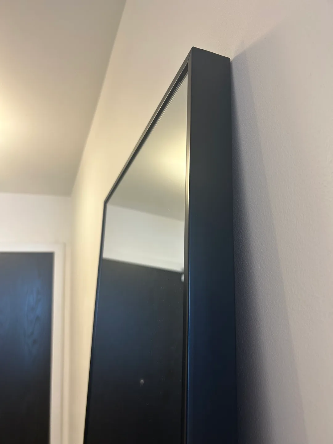 Full-length mirror with black frame image indicator(2)
