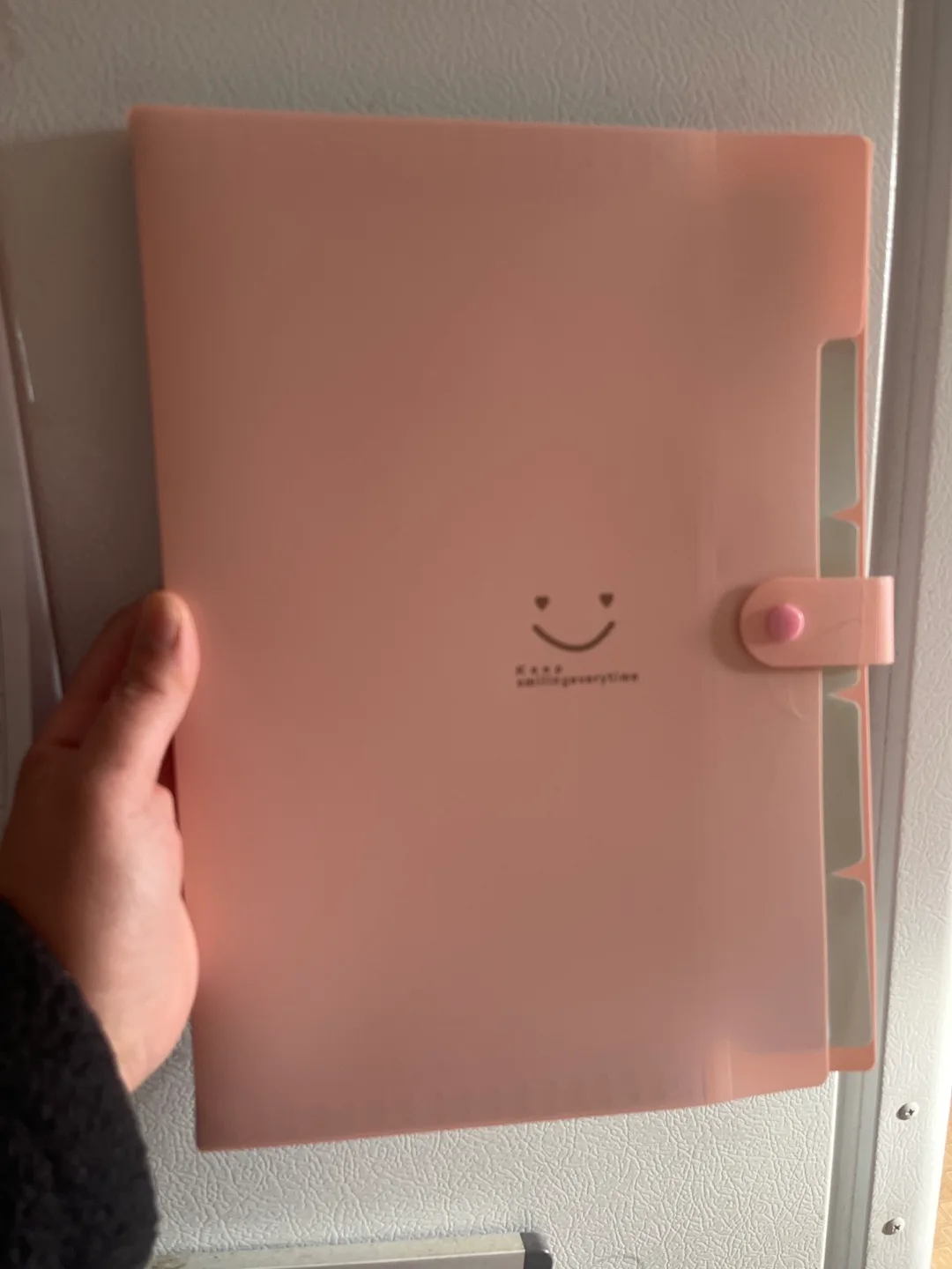 Pink Expanding File Folder with Multi-Compartments thumbnail