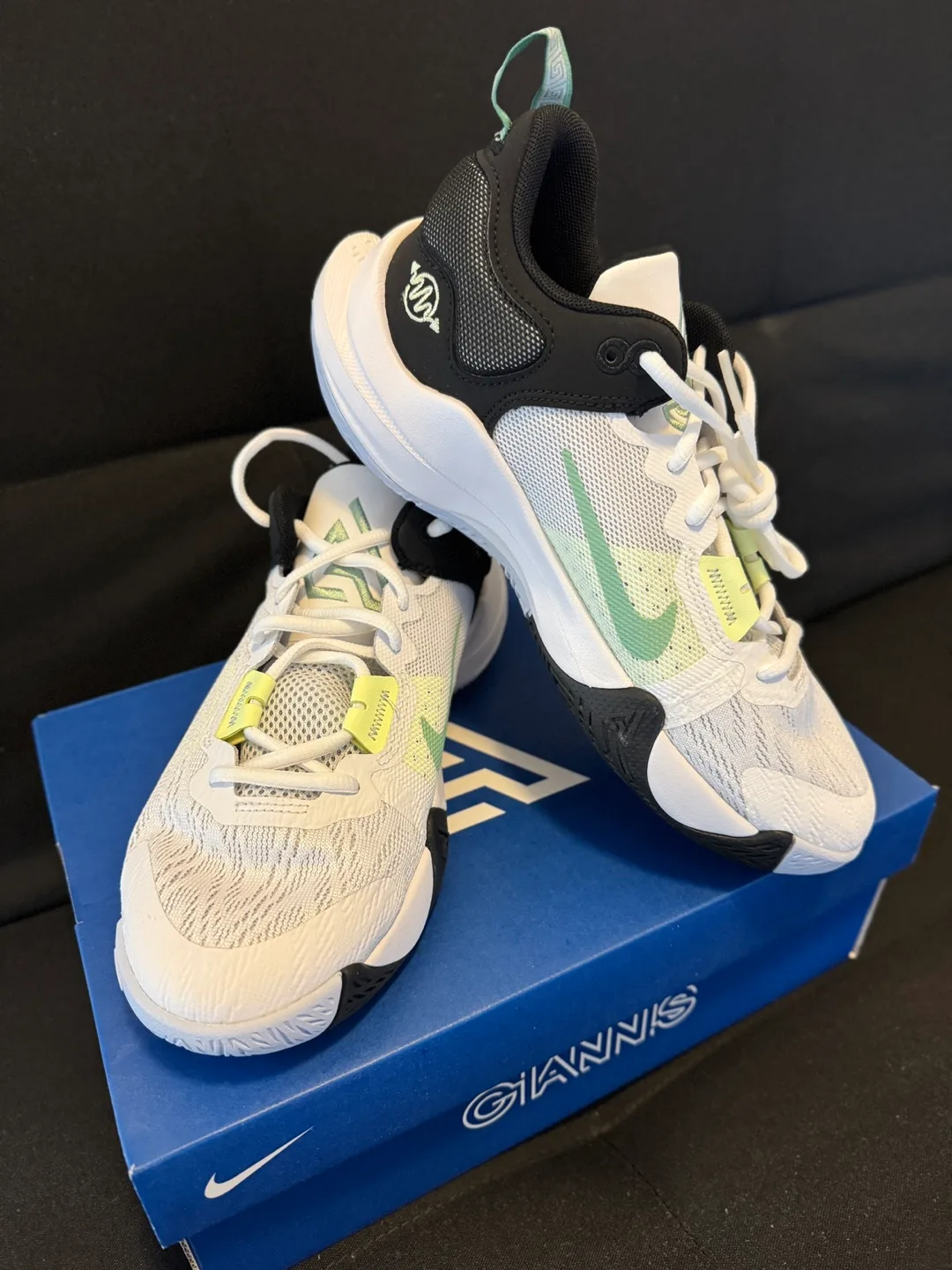 Nike Giannis Immortality 2 Basketball Shoes image indicator(2)