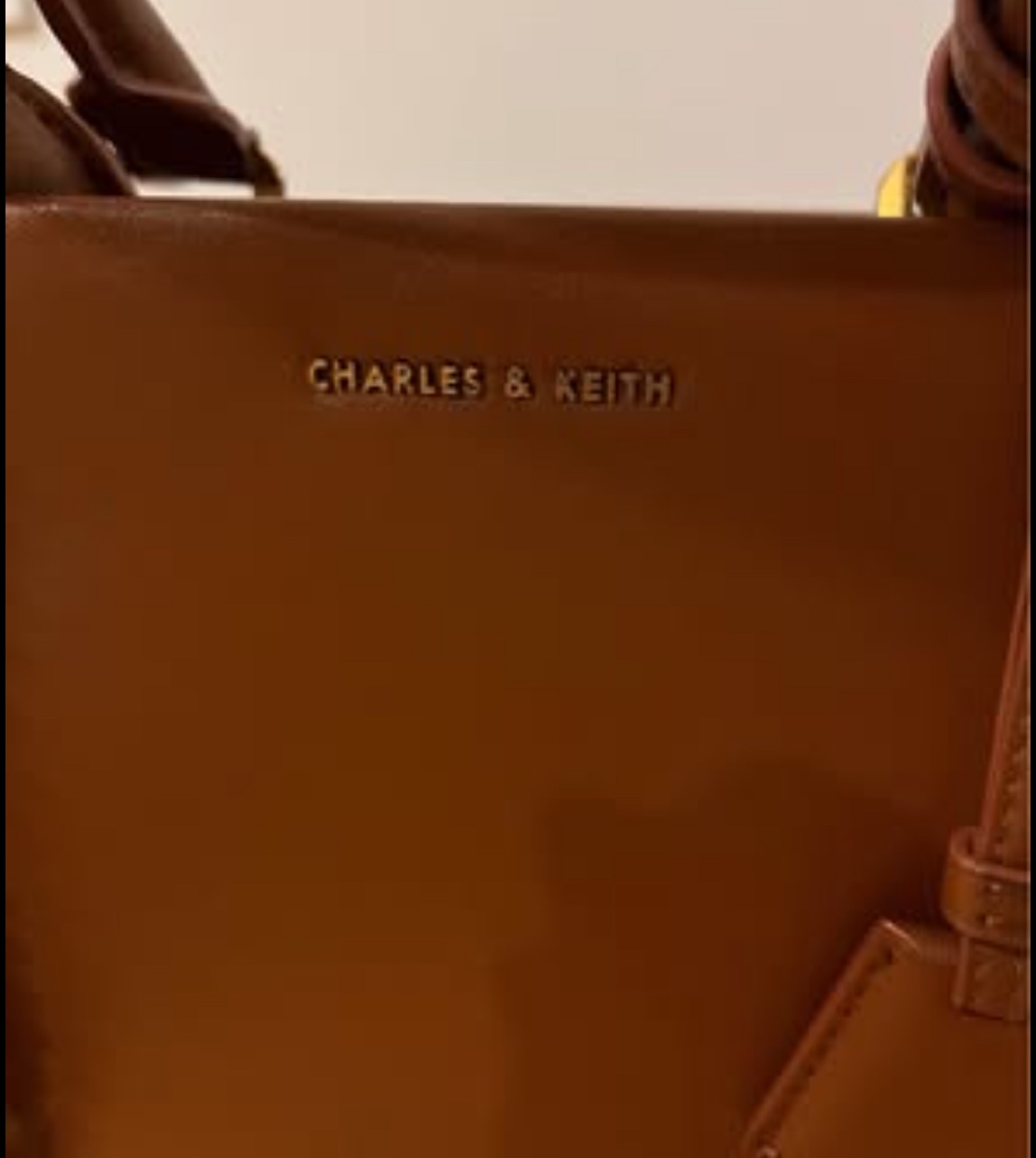 Charles & Keith Tan Handbag - photo 2