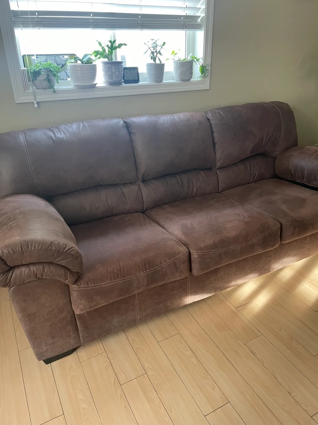 Brown Sofa thumbnail