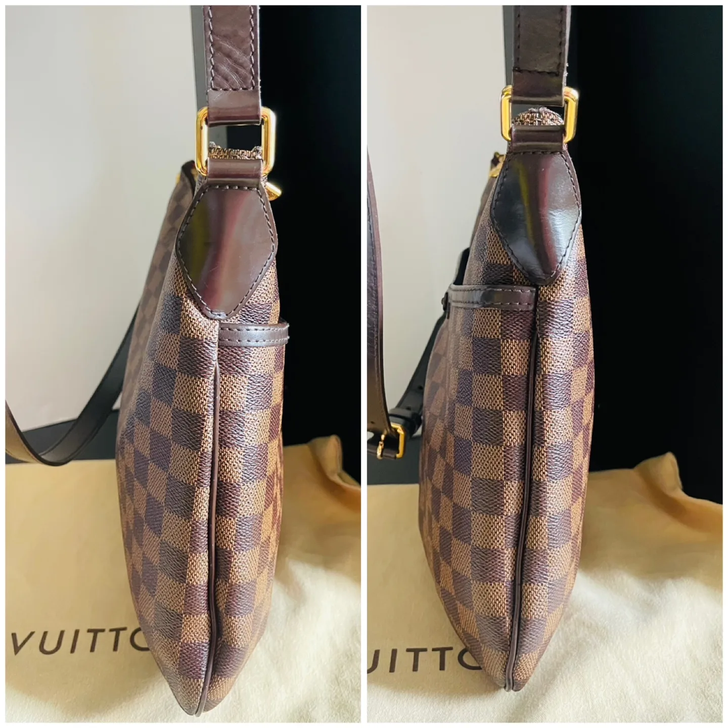 Louis Vuitton Bloomsbury  PM image indicator(8)
