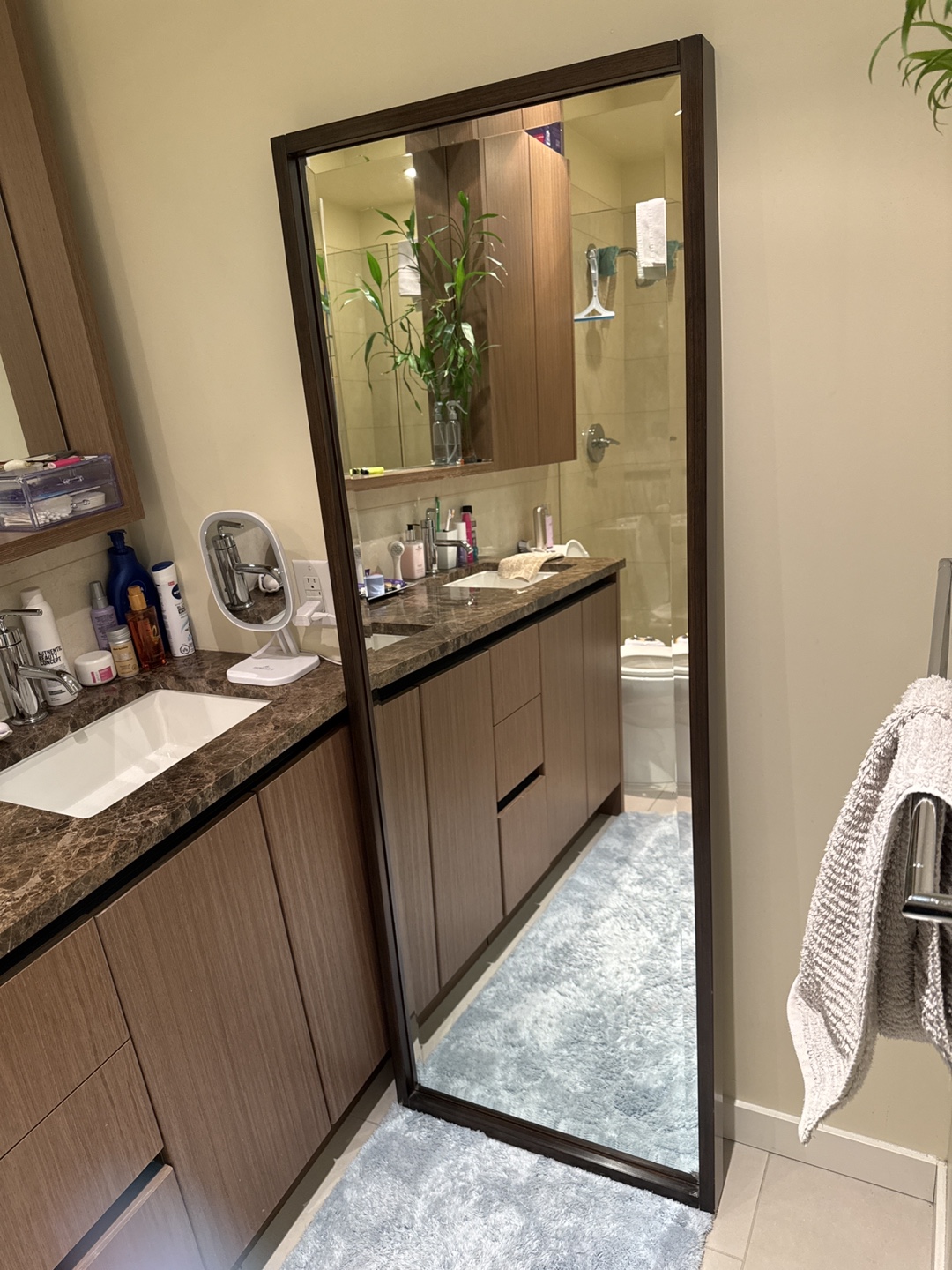 Full Length Mirror with Dark Brown Frame