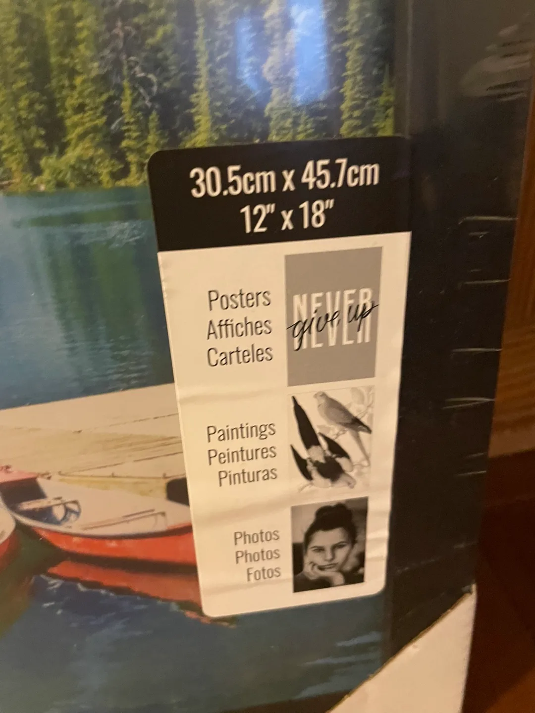 One Unused Frames - 12x18 Inches image indicator(3)