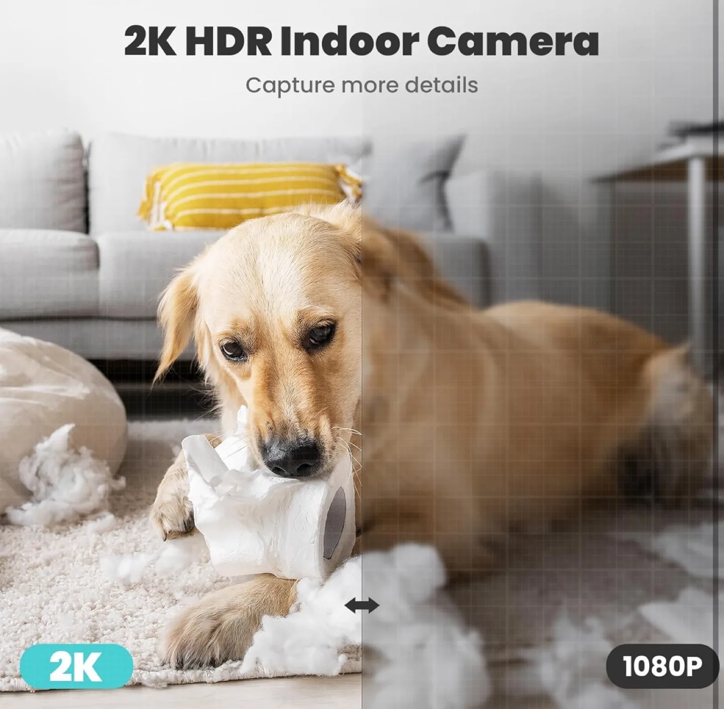 2K Indoor Security Camera, Litokam 360° View Pet Camera image indicator(6)