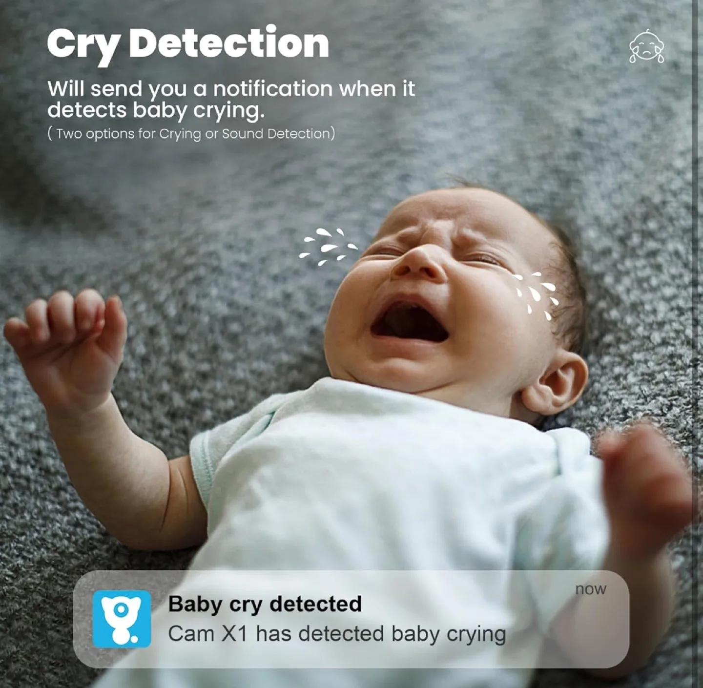 2K Indoor Security Camera, Litokam 360° View Pet Camera image indicator(7)