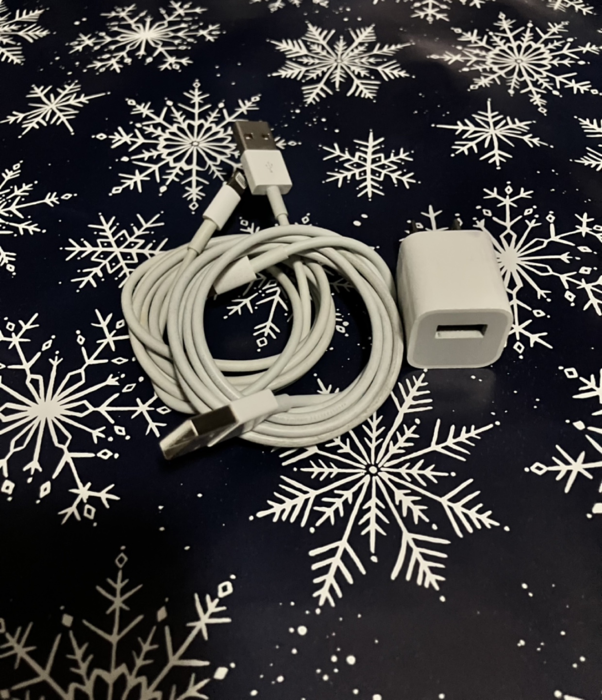 Apple USB Charging Cable & Wall Adapter