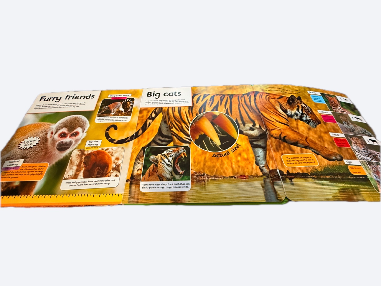 Books for toddler / preschooler - photo 3