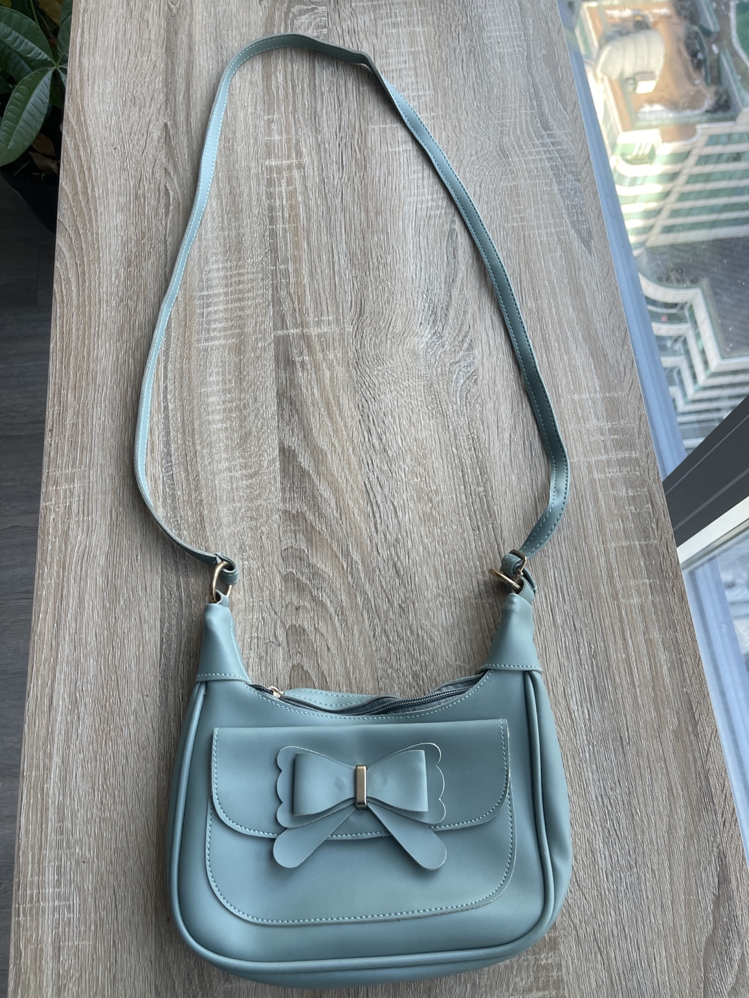 *‼️Moving Sale‼️* Brand new-Cute sage green crossbody bag