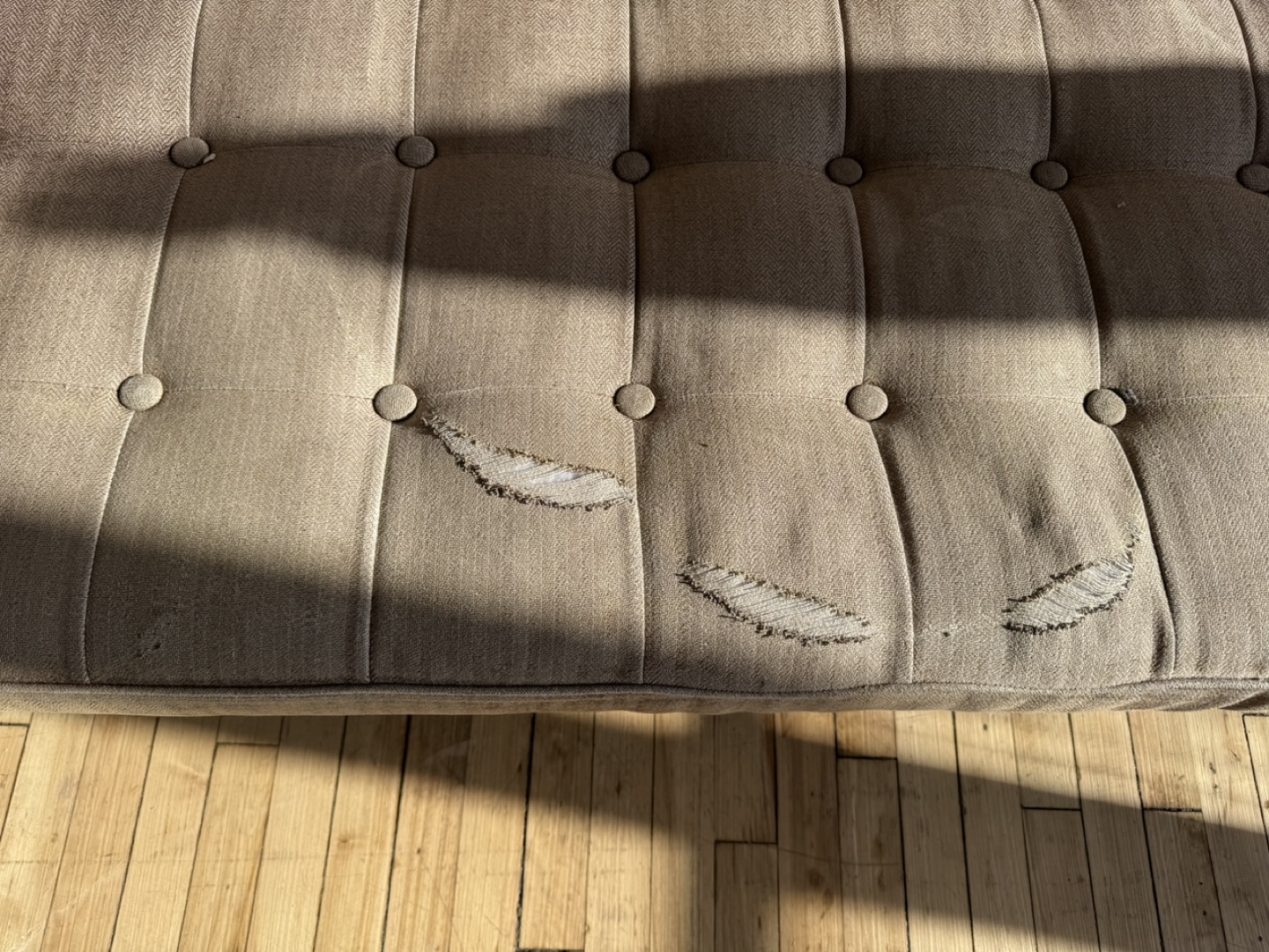 FREE Mid-Century Modern Fabric Couch - photo 4