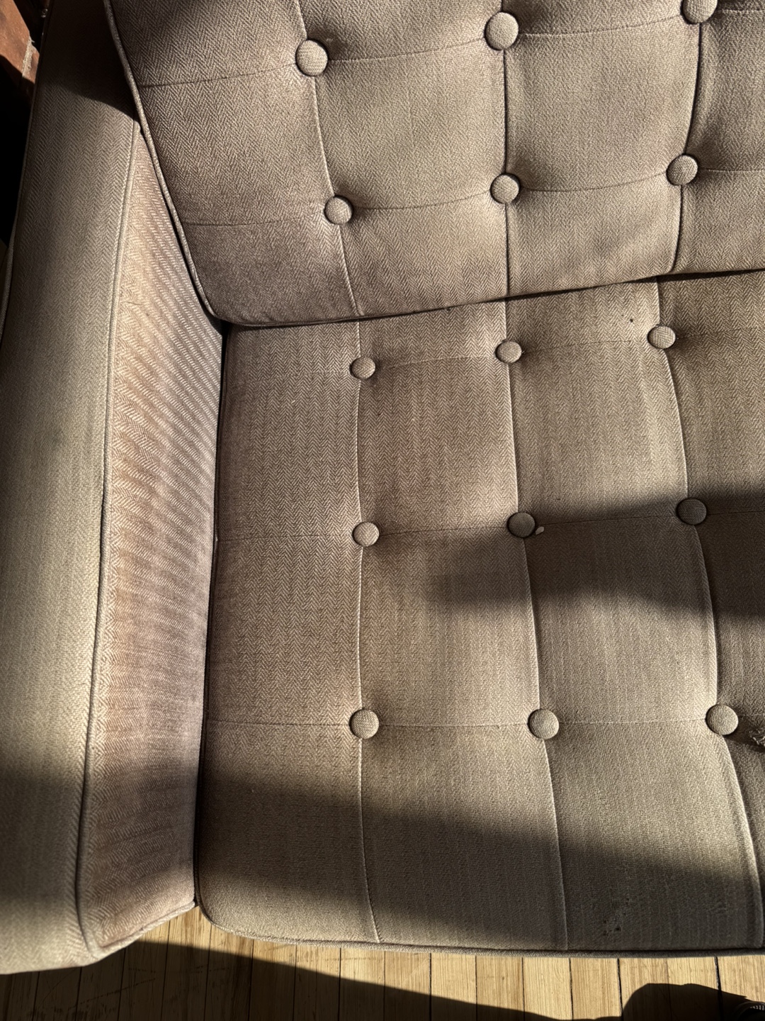 FREE Mid-Century Modern Fabric Couch - photo 5