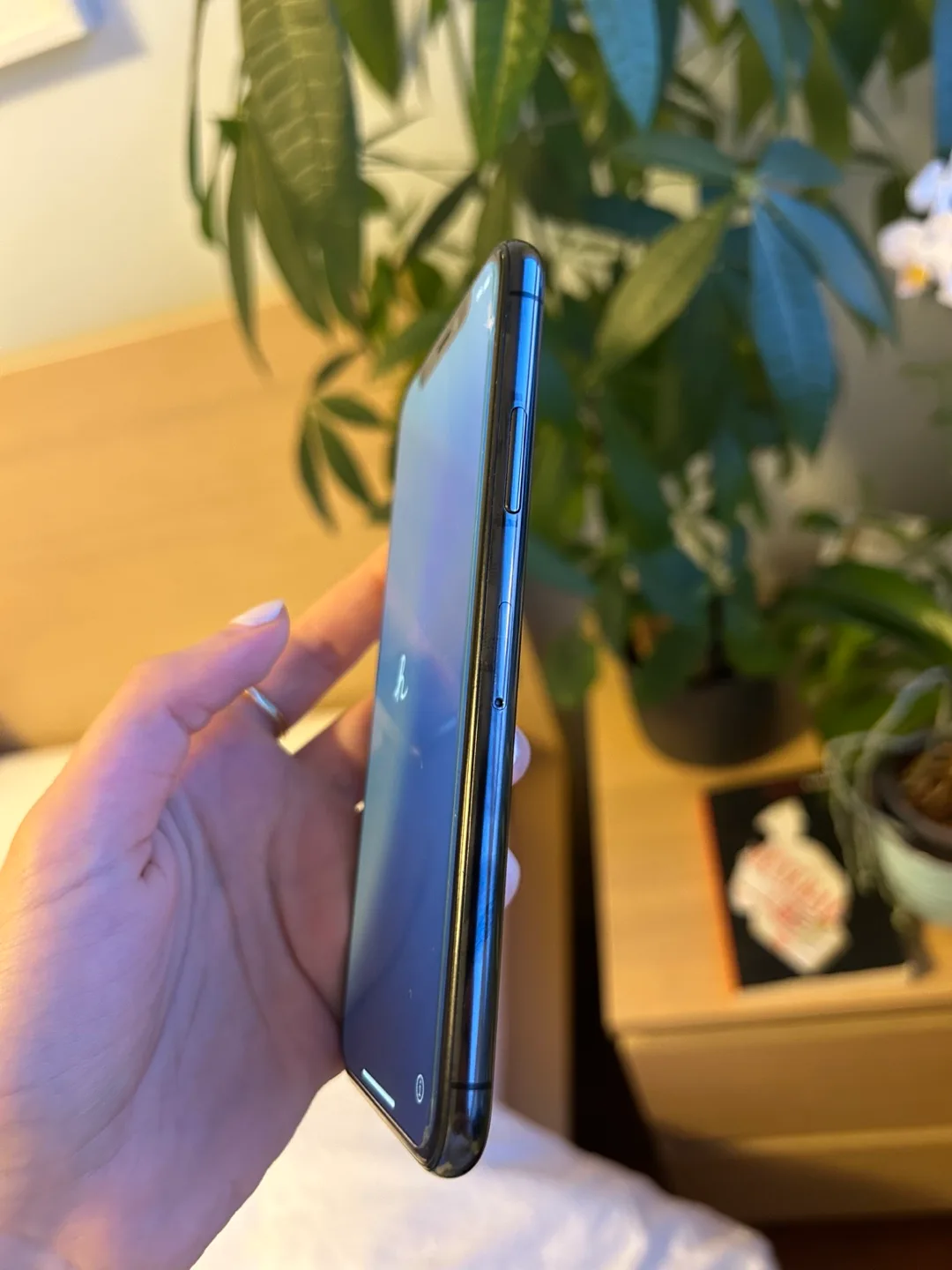 iPhone XS 256 GB image indicator(5)