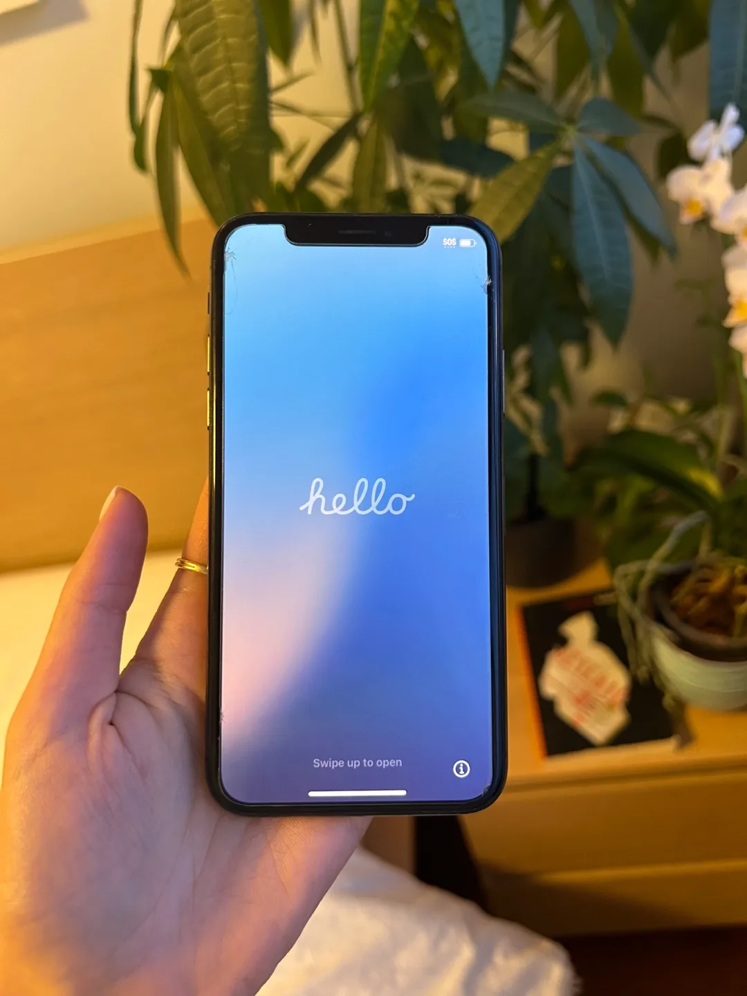 iPhone XS 256 GB image indicator(2)