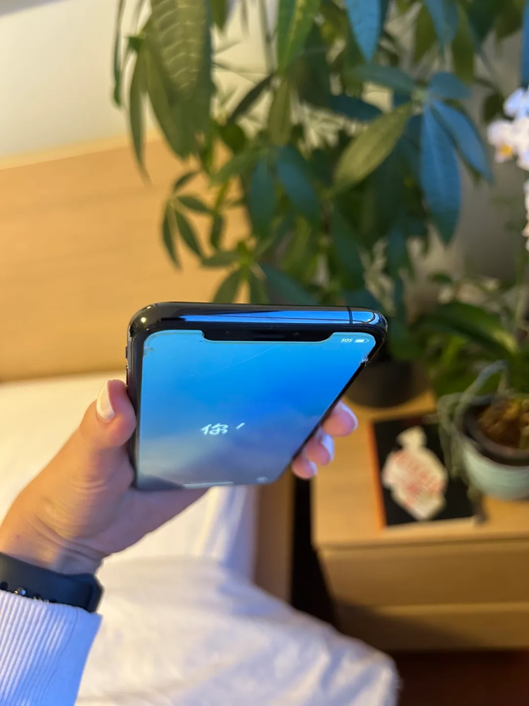 iPhone XS 256 GB image indicator(4)