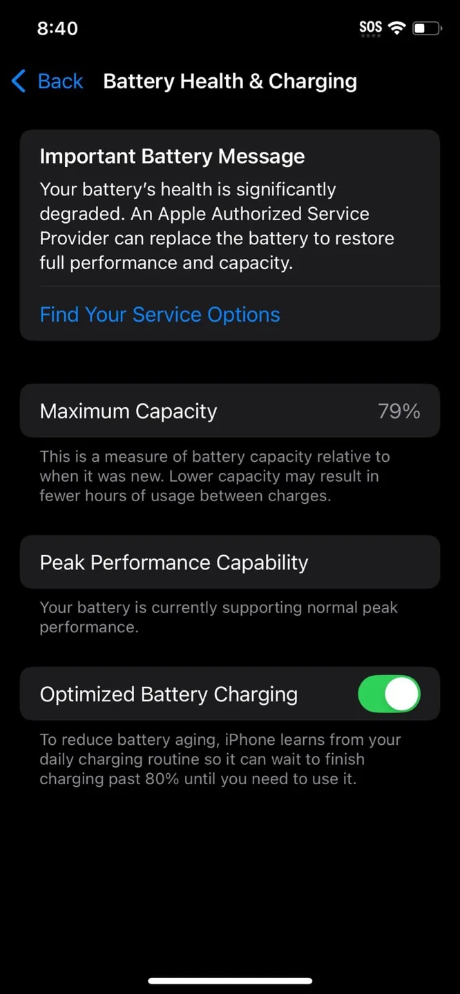 iPhone XS 256 GB image indicator(9)