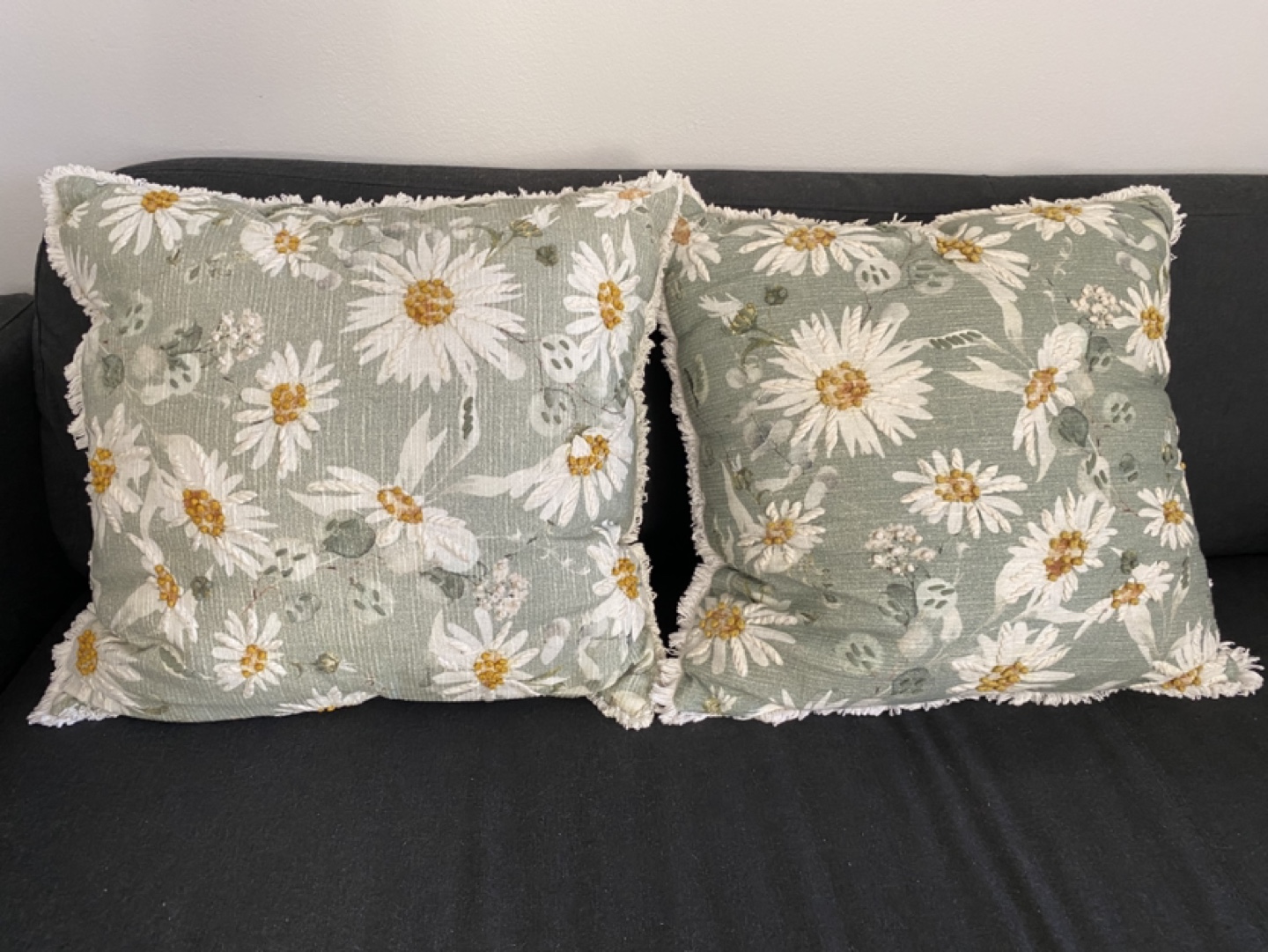 Set of 2 Hand Embroidered Throw Pillows with Fringe