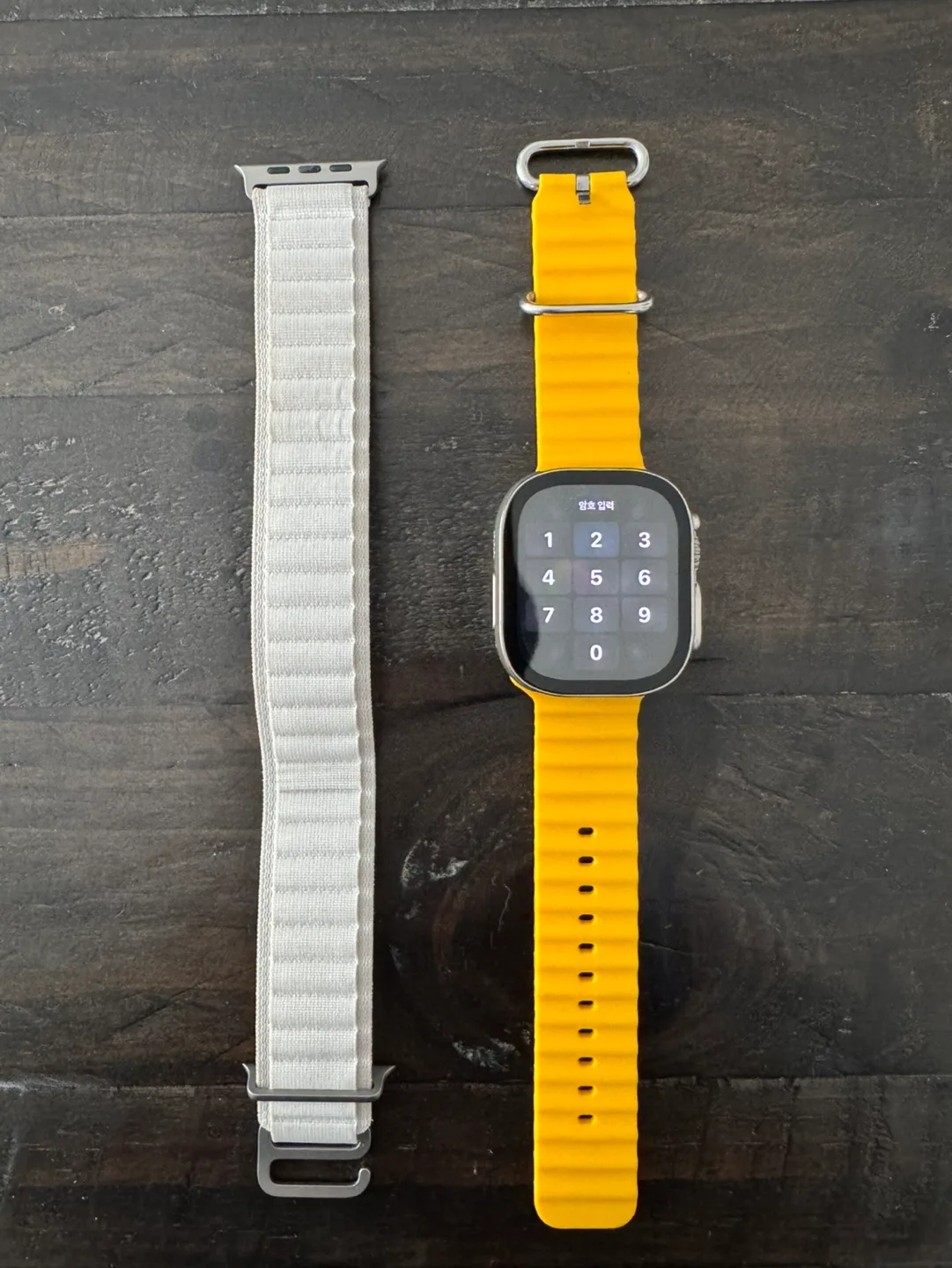 Apple Watch Ultra image indicator(2)