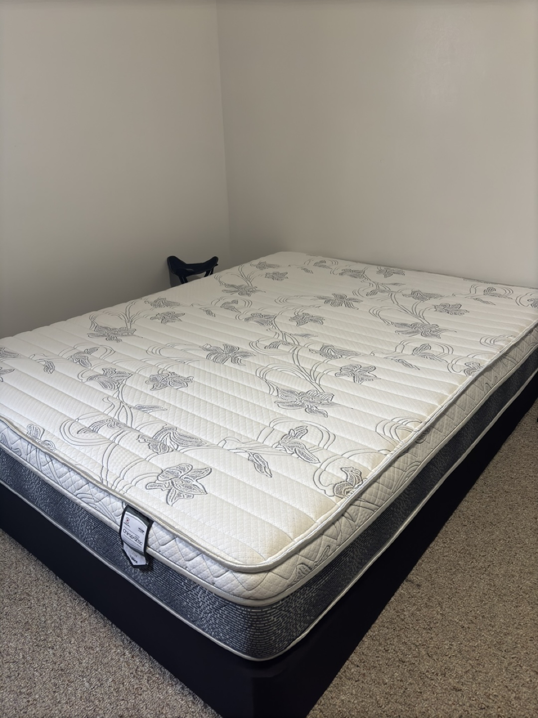 Queen Double Mattress and Boxspring Set - photo 2