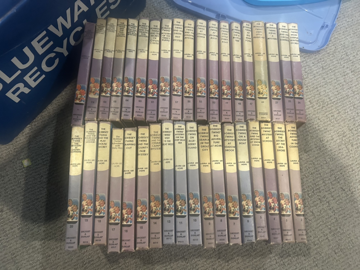 Collection of 36 Bobbsey Twins Books
