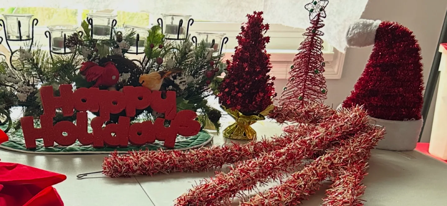 What’s in Santa’s Sac? 🎅 image indicator(4)