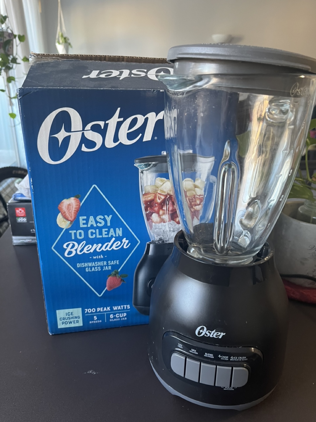 Oster Blender