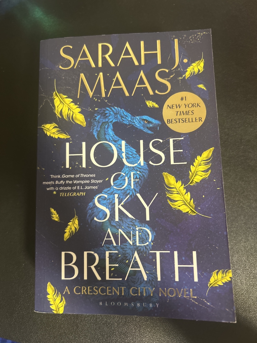 House of Sky and Breath Crescent City Novel by Sarah J. Maas