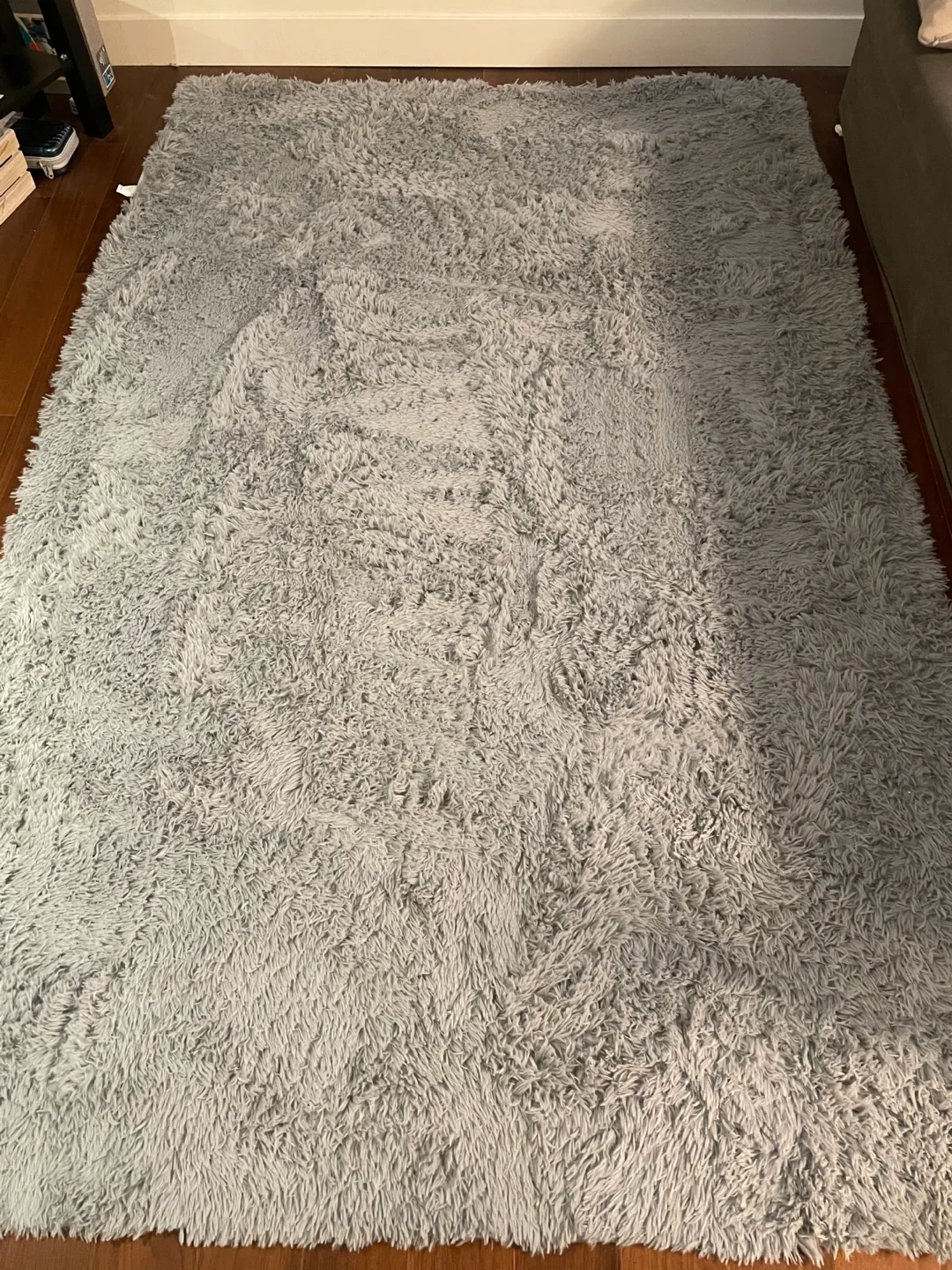 Fluffy Grey Rug image indicator(2)